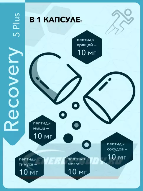  Vitual Laboratories Recovery 5 Plus 60 капсул