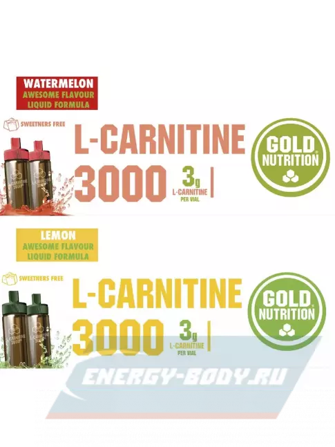 L-Карнитин GoldNutrition L-Carnitine 3000 20 x 10 мл, Микс