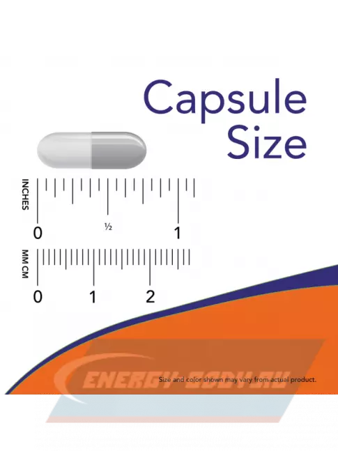 NOW FOODS Grape Seed 250 mg 90 веган капсул NOW FOODS Grape Seed 250 mg 90 веган капсул