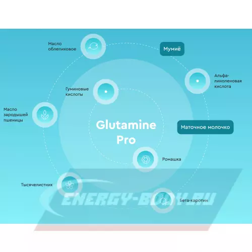 Глютамин Vitual Laboratories Glutamine Pro / Глютамин 3 Ойл с мумие и маточным молочком 60 капсул