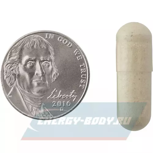  Natrol Easy-C 500 mg 240 капсул