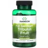 Full Spectrum Tribulus Fruit 500 mg