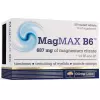 MagMAX B6