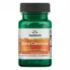 Beta Carotene