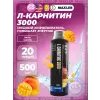 L-Carnitine 3000
