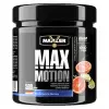 Max Motion