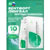 Вентфорт (Ventfort) лингвал