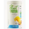 Plant Protein