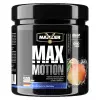 Max Motion