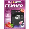 Special Mass Gainer