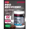 PRO RECOVERY 44/44