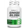 Ginkgo Biloba
