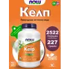 Kelp Powder Organic