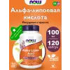 Alpha Lipoic Acid 100 mg