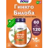Ginkgo Biloba 60 mg Ginkgo Biloba 60 mg