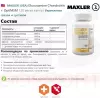Glucosamine Chondroitin + OptiMSM
