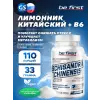 Schisandra Chinensis powder (экстракт китайского лимонника)