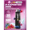 L-Carnitine 3000