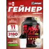 Mass Extreme 2500