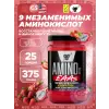 Amino X EAAs