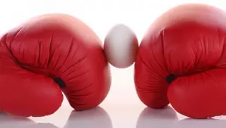 shutterstock