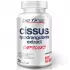 Cissus Quadrangularis Extract (экстракт циссуса) 120 капсул