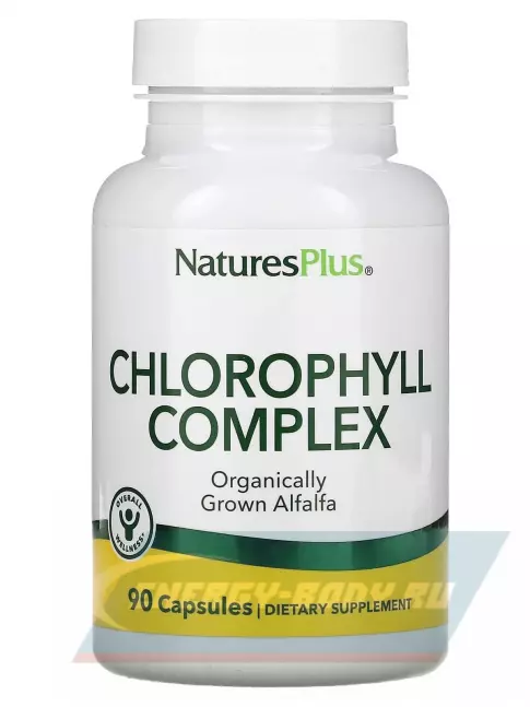  NaturesPlus Chlorophyll Complex 600 mg 90 капсул