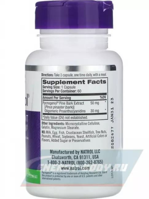 Natrol Pycnogenol 60 капсул Natrol Pycnogenol 60 капсул