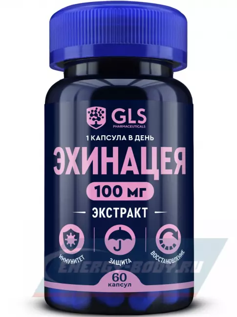  GLS pharmaceuticals Эхинацея (экстракт) 100 мг 60 капсул