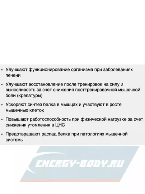 ВСАА Be First BCAA Classic Powder 2:1:1 200 г, Черная смородина