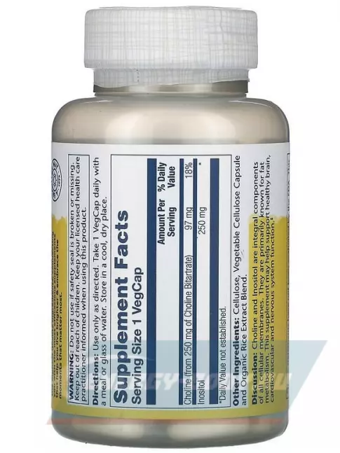  Solaray Choline & Inositol 250 mg 100 вегетарианских капсул