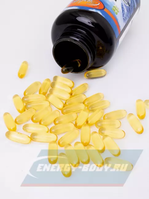 Omega 3 Carlson Labs Elite Omega 3 Wild Norwegian 1600 mg 90 soft gels