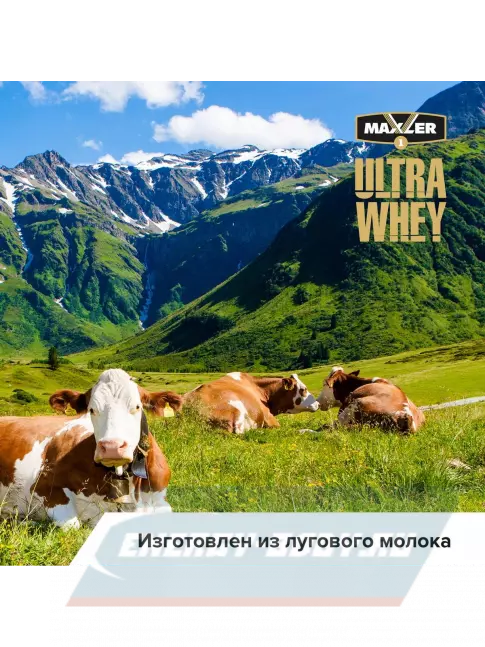  MAXLER Ultra Whey 450 г, Ванильное мороженное