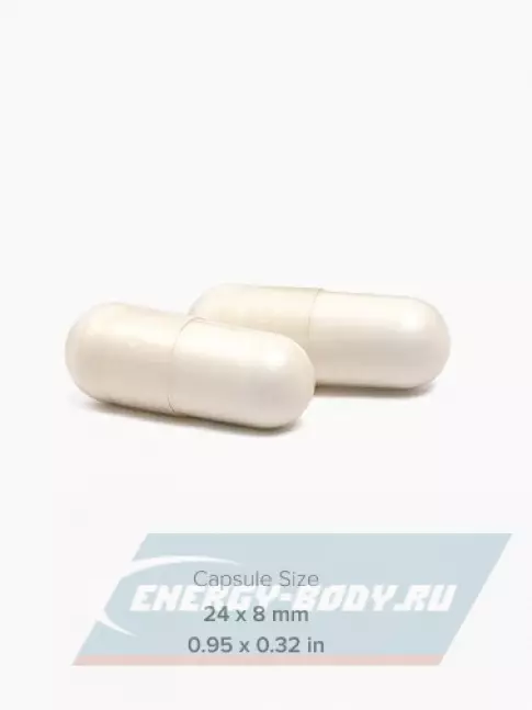 Суставы, связки MAXLER Glucosamine Chondroitin + OptiMSM 120 капсул Суставы, связки MAXLER Glucosamine Chondroitin + OptiMSM 120 капсул