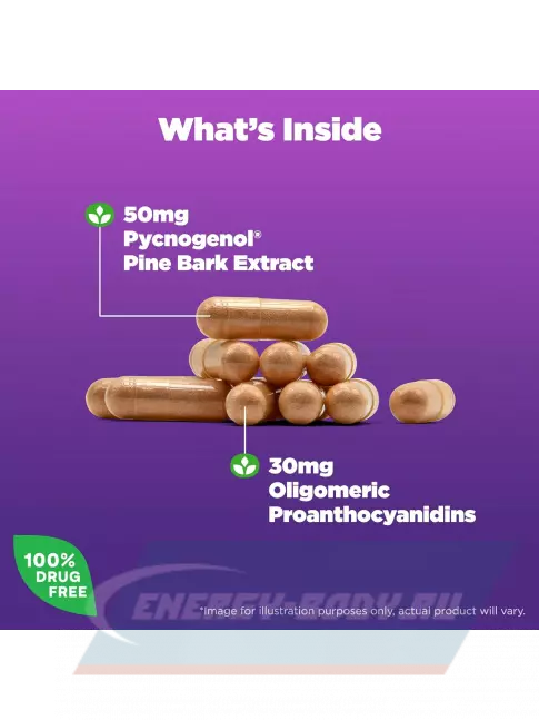  Natrol Pycnogenol 60 капсул
