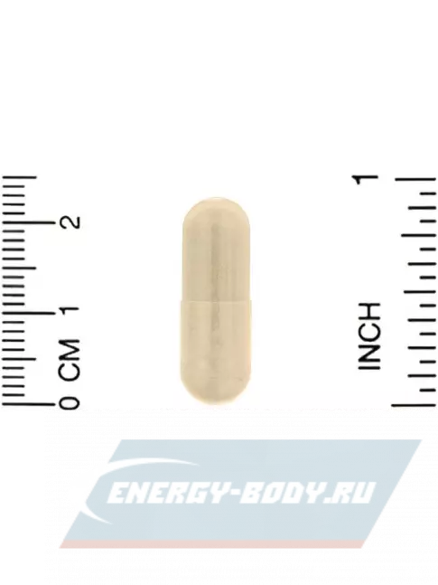 California Gold Nutrition Silymarin Complex 360 вегетарианских капсул
