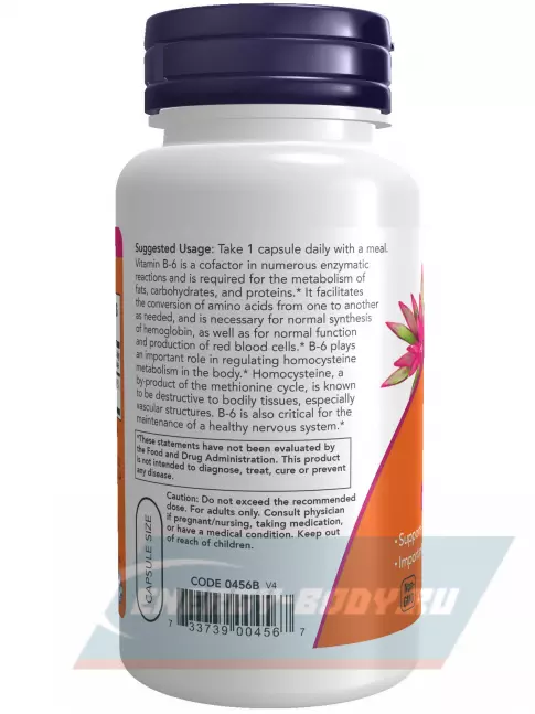  NOW FOODS B-6 100 mg – Витамин Б-6 100 веган капсул