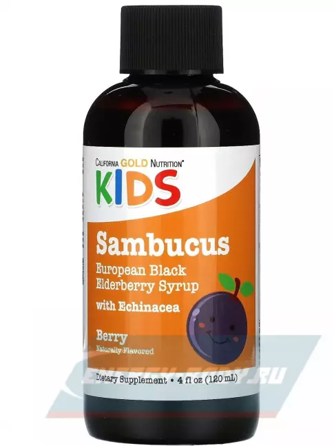  California Gold Nutrition Children Sambucus Elderberry Syrup, 4 fl oz (120 ml) 120 мл, Ягоды