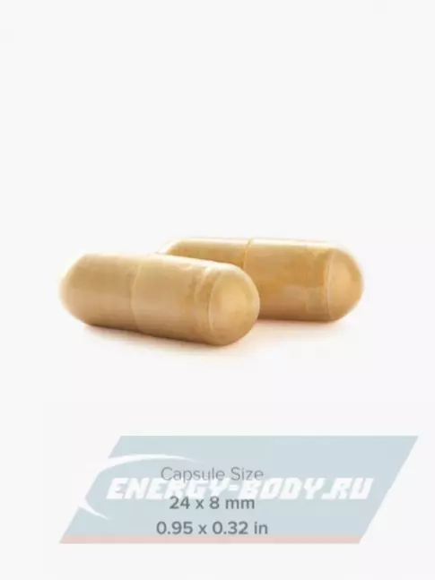 MAXLER Turmeric Curcumin with Bioperine 90 веганских капсул MAXLER Turmeric Curcumin with Bioperine 90 веганских капсул