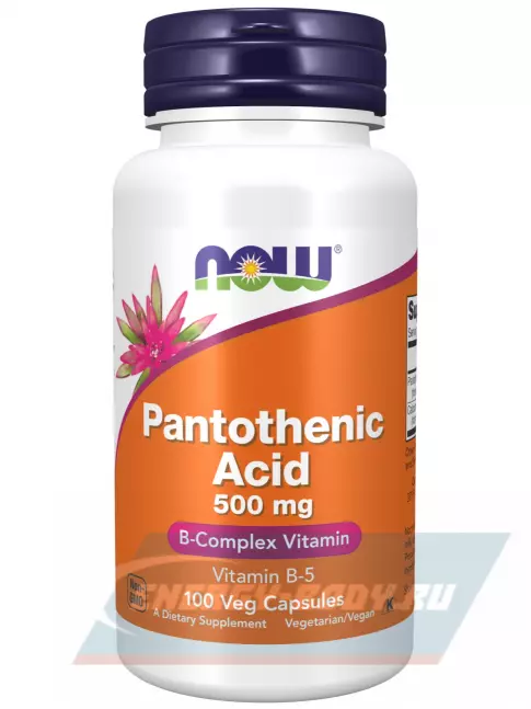  NOW FOODS Pantothenic Acid 500 mg Vitamin B-5 100 веган капсул