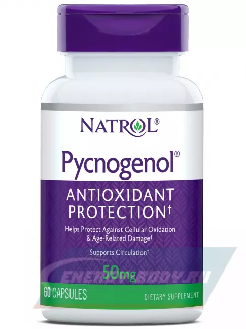 Natrol Pycnogenol 60 капсул Natrol Pycnogenol 60 капсул