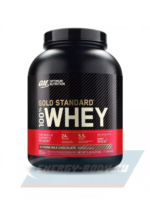  Optimum Nutrition 100% Whey Gold Standard 2270 г, Молочный шоколад