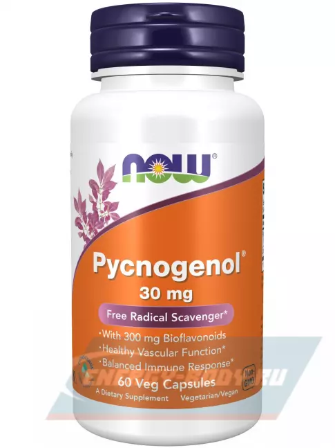  NOW FOODS Pycnogenol 30 mg 60 веган капсул