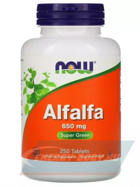  NOW FOODS Alfalfa 650 мг 250 таблеток