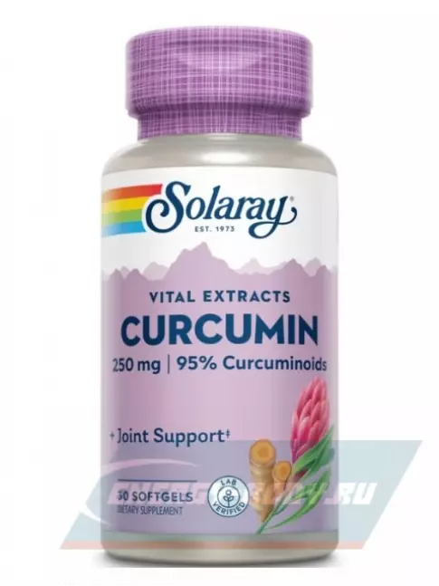  Solaray Curcumin Root Extract 250 mg 30 капсул