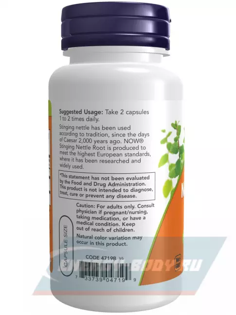  NOW FOODS Nettle Root Extract 250 mg 90 веган капсул