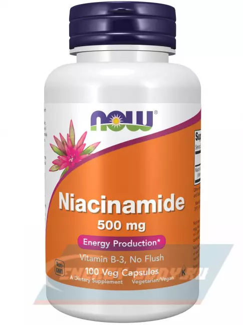  NOW FOODS Niacinamide 500 mg Витамин B3 100 веган капсул