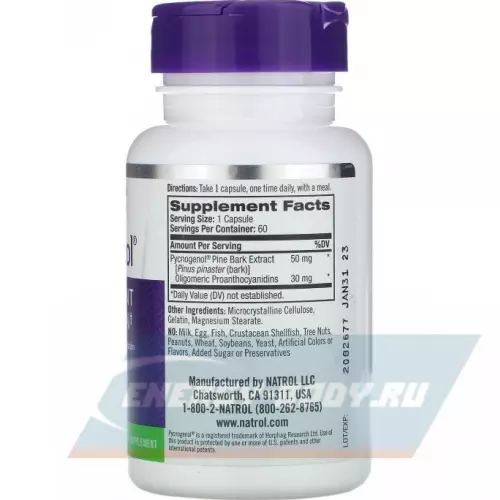  Natrol Pycnogenol 60 капсул