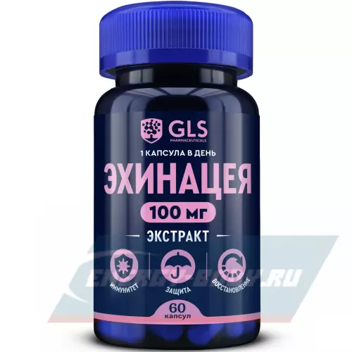  GLS pharmaceuticals Эхинацея 100 мг (экстракт) 60 капсул