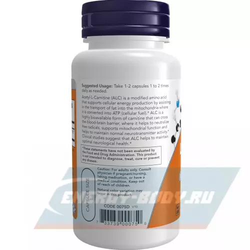 L-Карнитин NOW FOODS Acetyl L-Carnitine 500 mg (Ацетил-L-Карнитин) 50 веган капсул